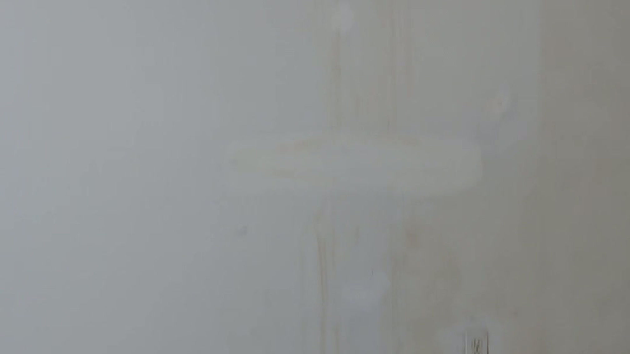 The Mold Hunters